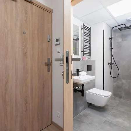 Srodmiescie Katowa Air-Conditioned Studio Krakow By Noclegi Renters-3